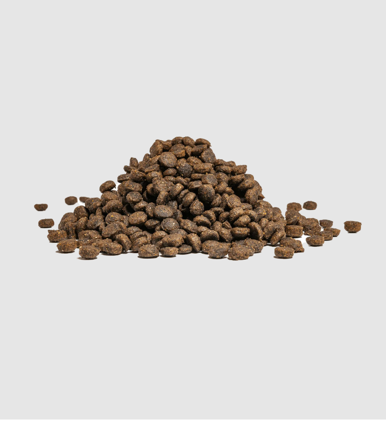 Amykus Original Cat Sterilized Sensitive