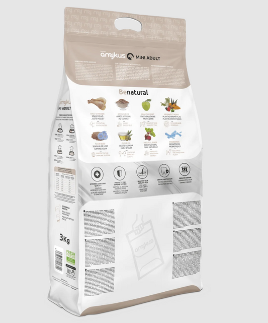 Amykus Original Mini Adulto