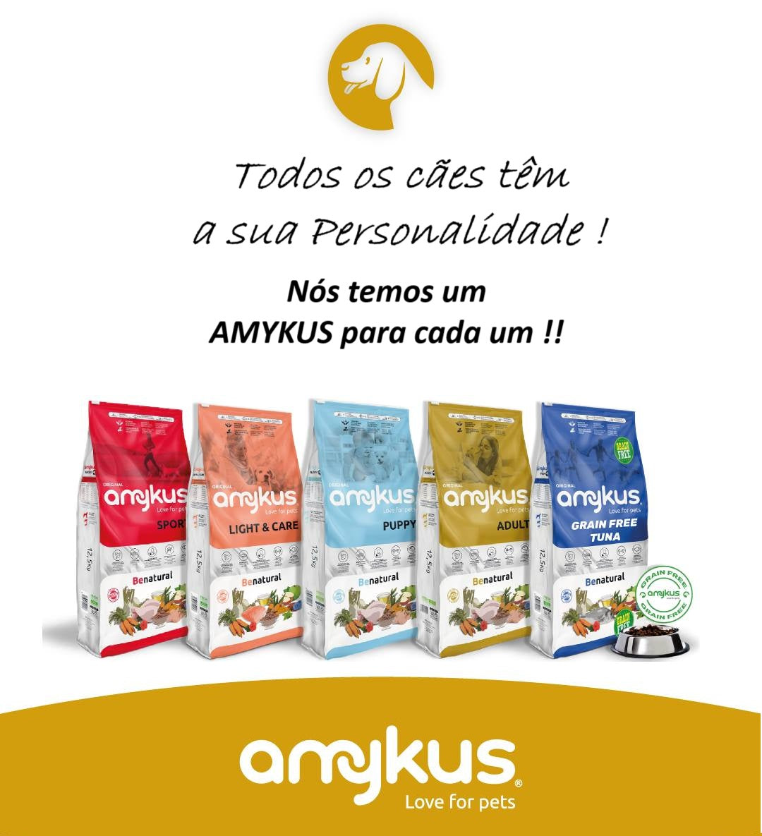 AMYKUS Cão